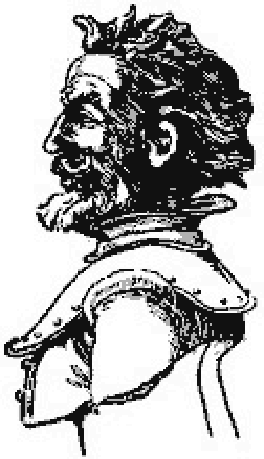 Retrato de perfil de un hombre barbudo con coraza