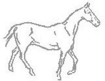 El caballo ya terminado