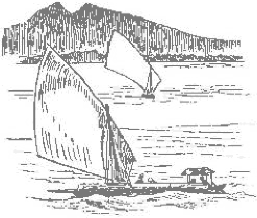 Barcas de vela en una bahía, con montañas al fondo