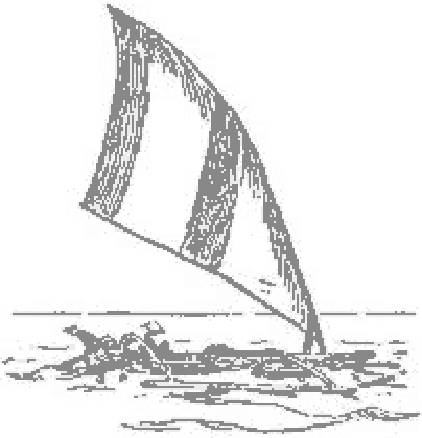 Un catamarán de pesca con una vela triangular a rayas