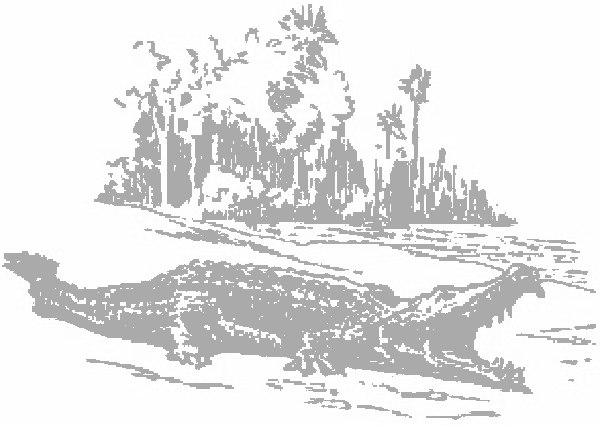 Un cocodrilo en la orilla de un río, con árboles al fondo