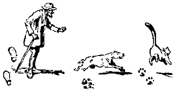 Un viejo rastreador sigue unas huellas junto a las de un perro y un gato