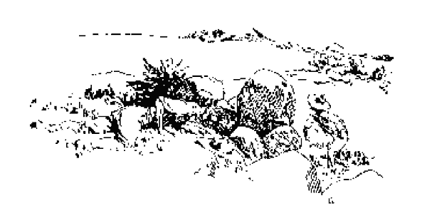 Paisaje de matorrales y rocas