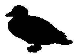 Silueta de un pato