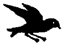 Silueta de un petrel