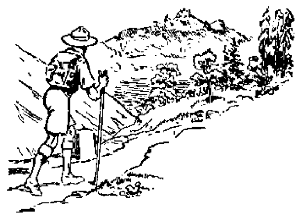 Un scout con bordón camina por un sendero de montaña