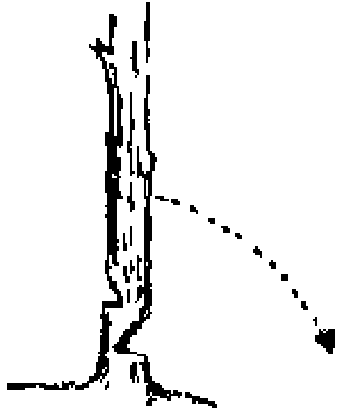 Tronco de árbol con dos cortes y una flecha que indica hacia dónde caerá