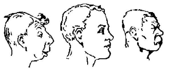 Tres cabezas de perfil con rasgos muy distintos