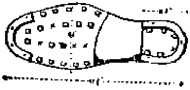 Dibujo de la suela de un zapato claveteado, con las medidas señaladas