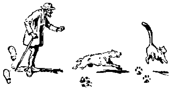 Un perro persigue a un gato y su dueño corre tras ellos con un bastón; en el suelo, las huellas de los tres