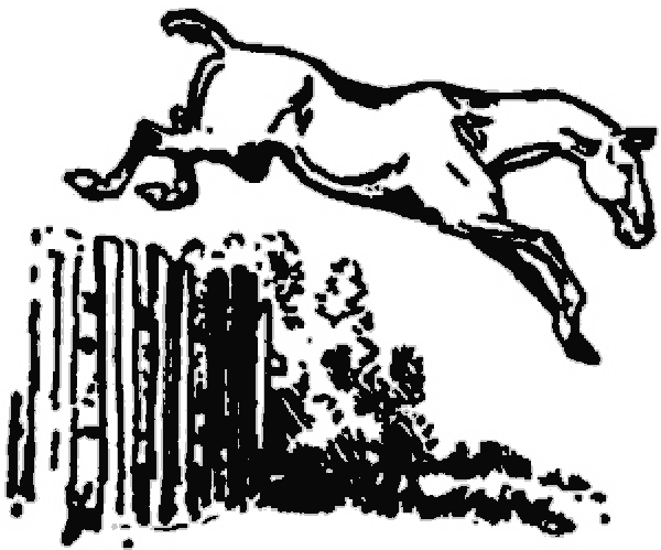 Un caballo salta una valla
