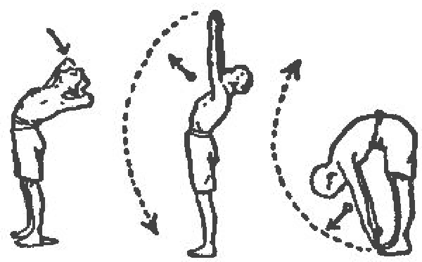 Tres posiciones del ejercicio para la parte baja del cuerpo
