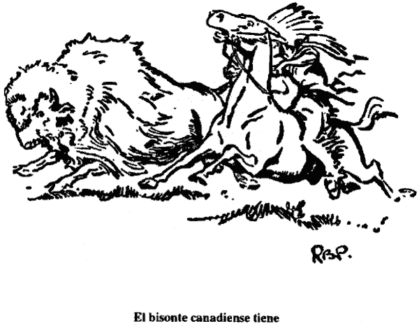 Un bisonte embiste y derriba a un jinete con penacho de plumas