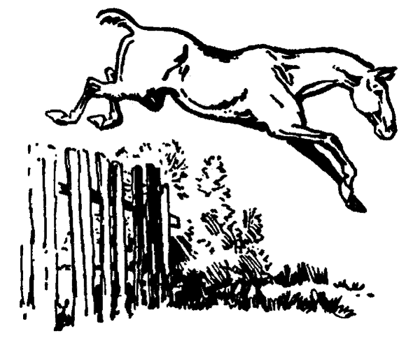 Un caballo salta por encima de una valla de matorral