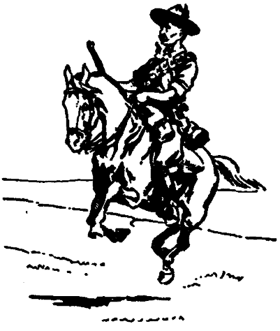 Un policía de Sudáfrica a caballo