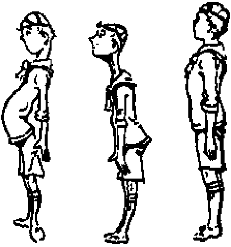 Tres lobatos de perfil: uno saca la barriga, otro la mete y el tercero está bien erguido