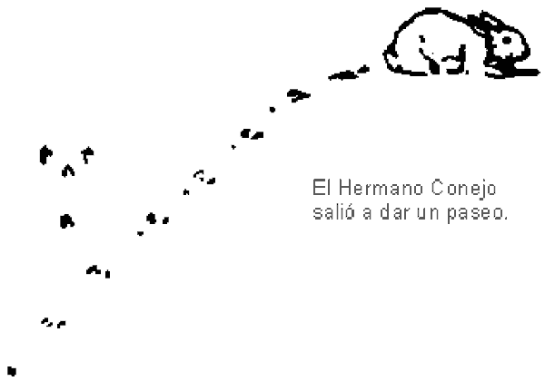 Un conejo y el rastro de sus huellas
