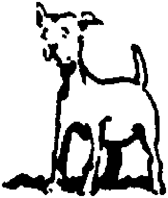 Un perro de pie mira al frente