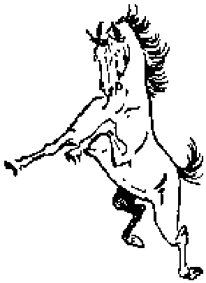 Un caballo encabritado
