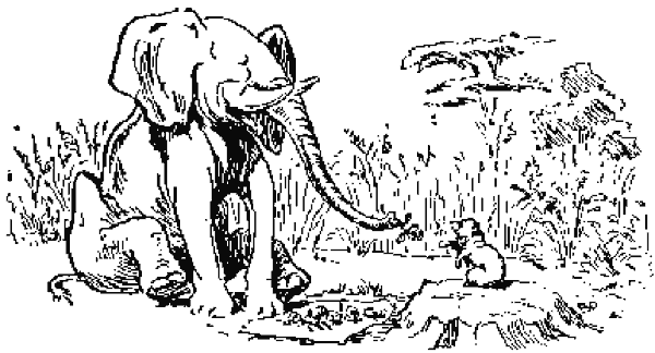 Un elefante sentado observa a un pequeño damán