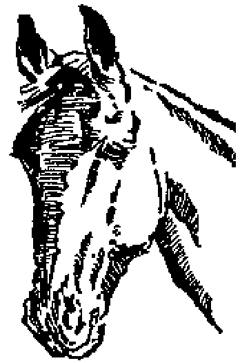 Cabeza de caballo