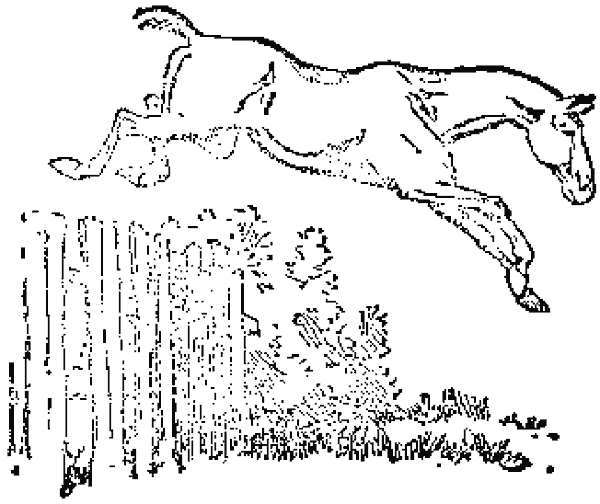 Un caballo salta una valla