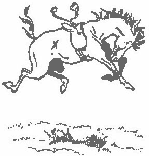 Un caballo encabritado da coces sin jinete