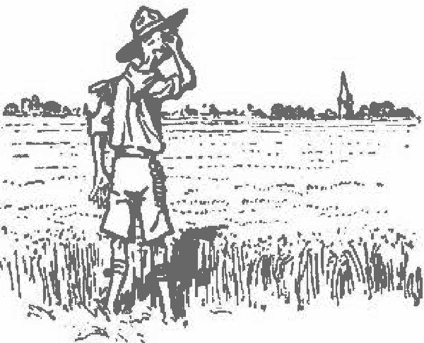 Un scout se rasca la cabeza ante un enorme campo de lino